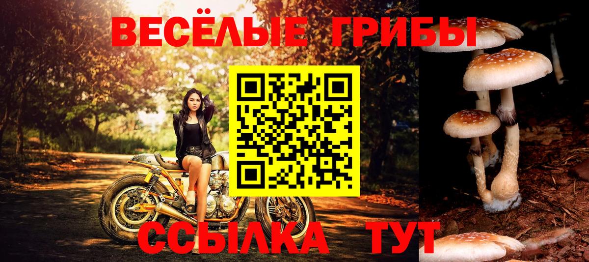 Северобайкальск  Галлюциногенные грибы MAGIC MUSHROOMS  Галлюциногенные грибы прущие грибы  продажа наркотиков  Вход с VPN 